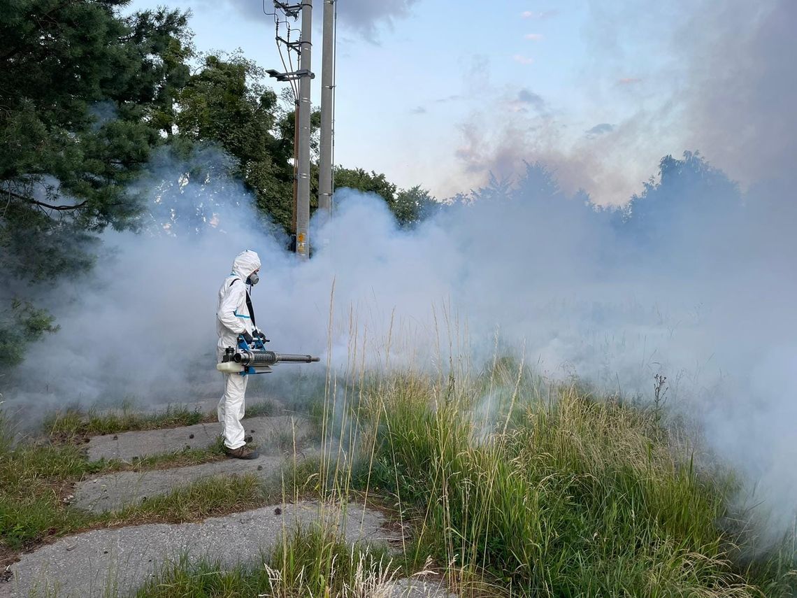 Oława. Rozpoczęli odkomarzanie Oława. Rozpoczęli odkomarzanie