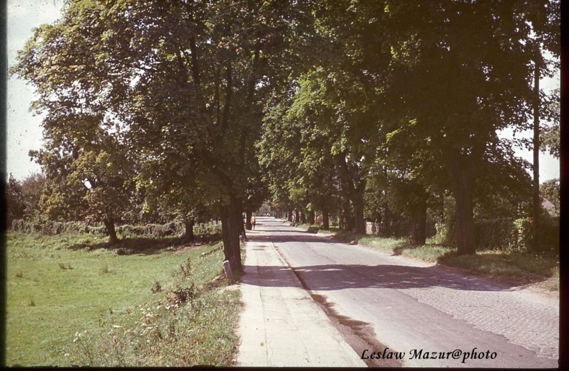 Oława zielonym miastem? - część 6 cyklu Lesława Mazura