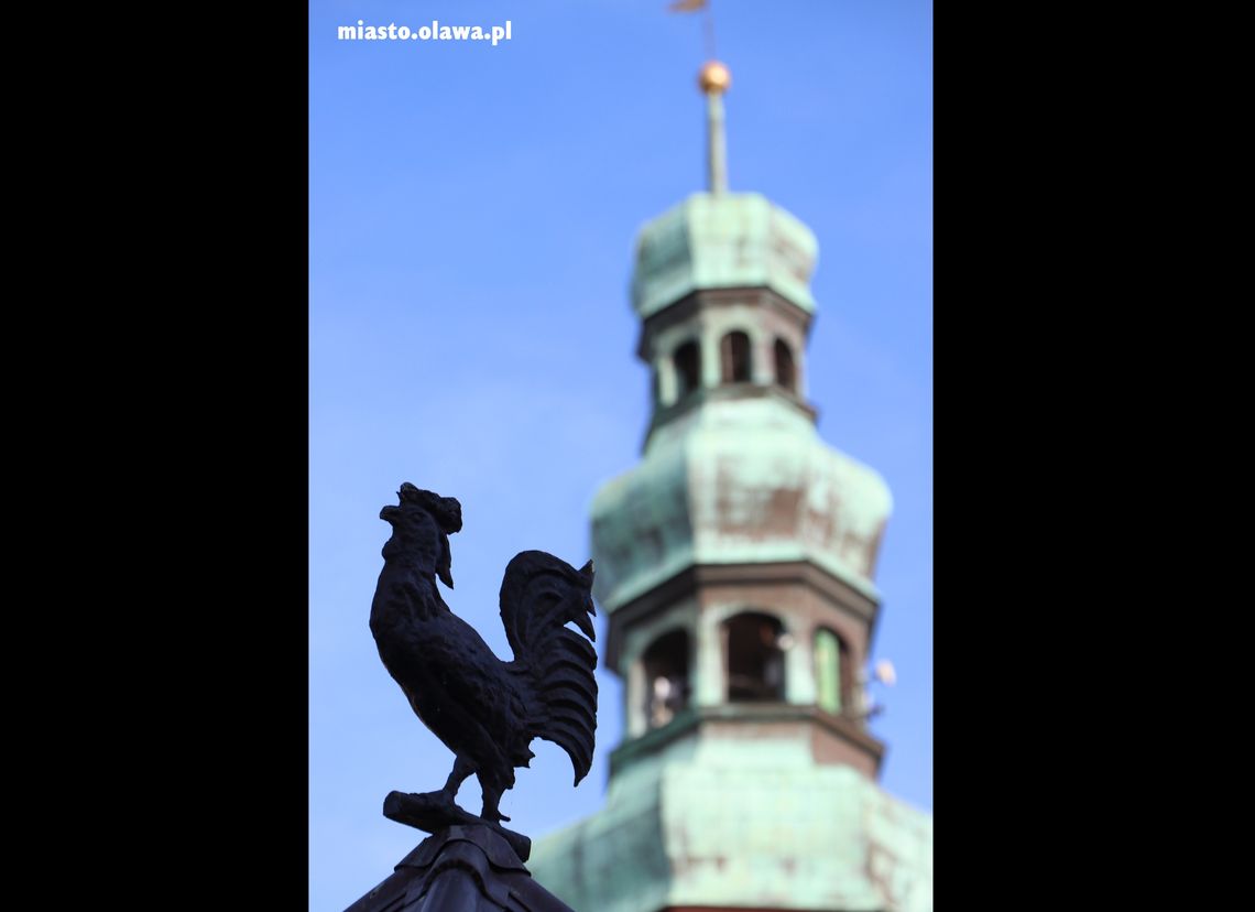 Oławski Budżet Obywatelski - wpłynęło 7 odwołań