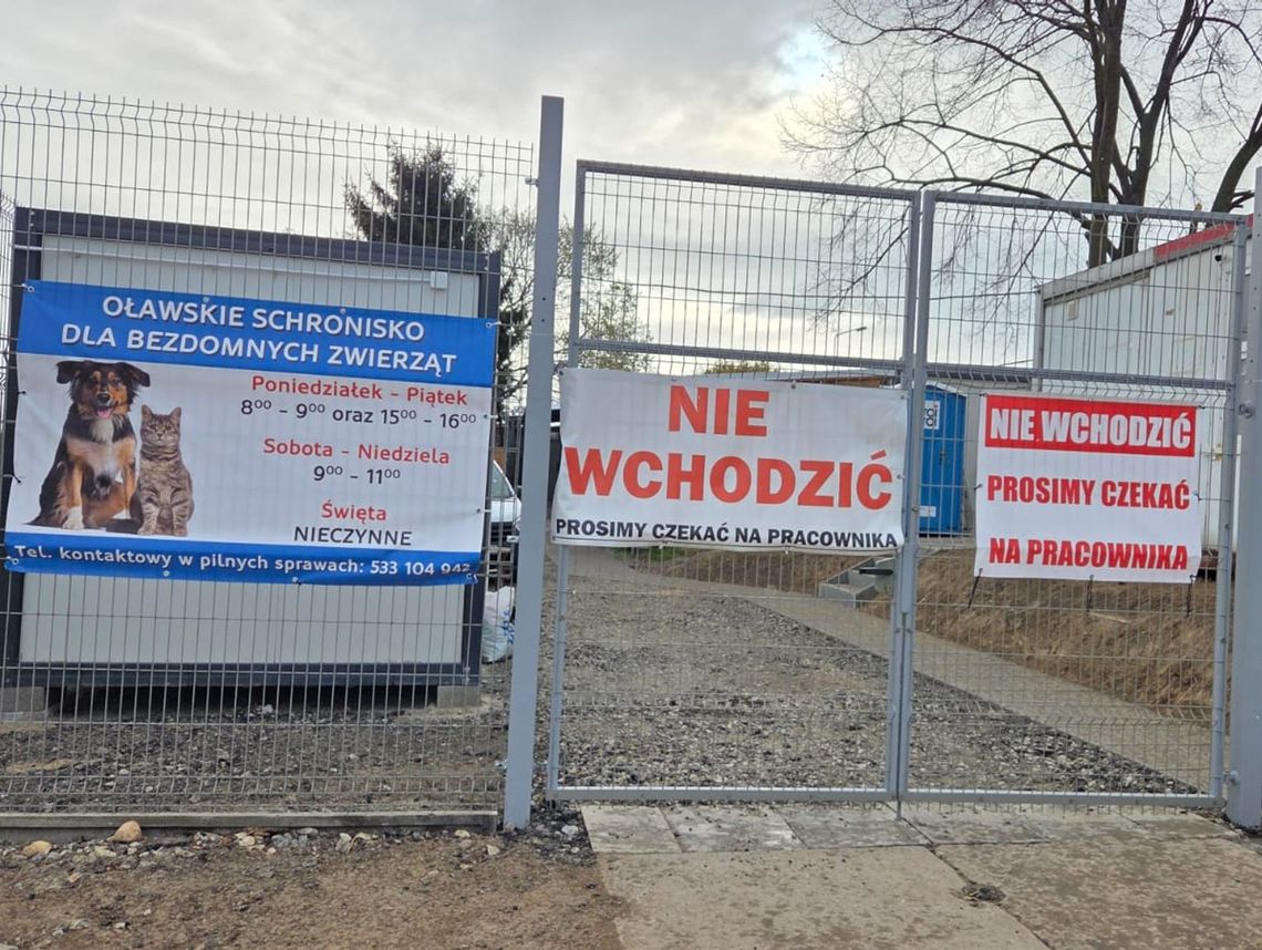 Oławskie schronisko przyjmie zwierzęta z kolejnej gminy Oławskie schronisko przyjmie zwierzęta z kolejnej gminy