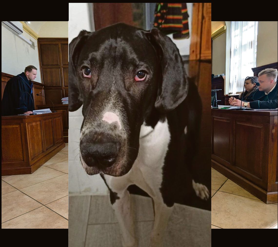 Opinia biegłej pogrąża Karolinę P., ale obrona walczy