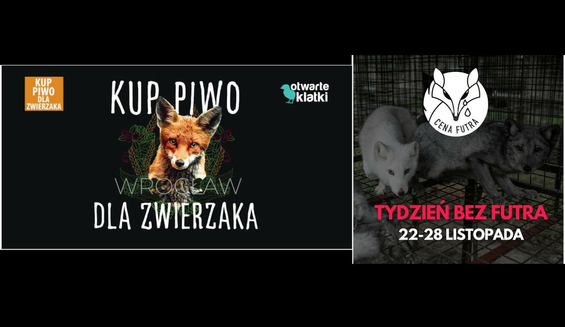 Otwarte klatki - na ratunek zwierzętom! Trwa akcja