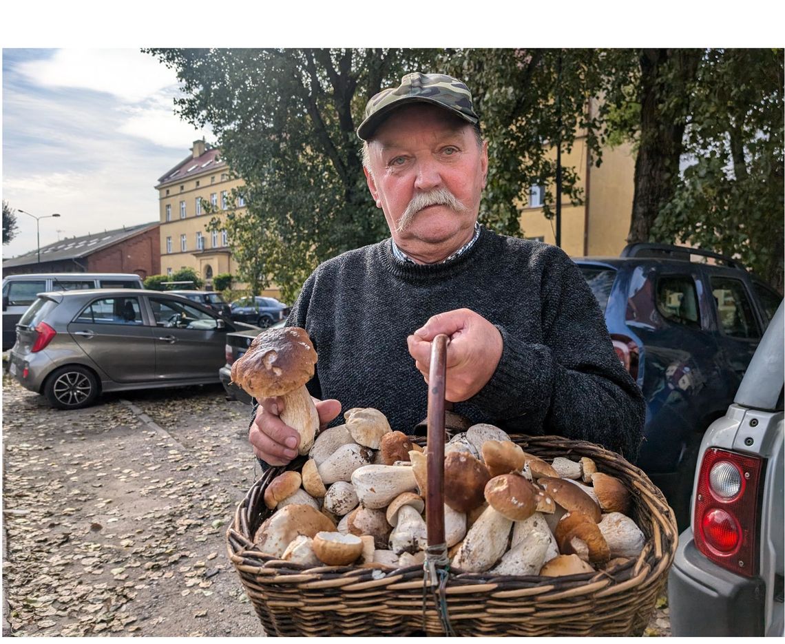 Pan Henryk przyniósł do redakcji grzyby. Sezon rozpoczęty!