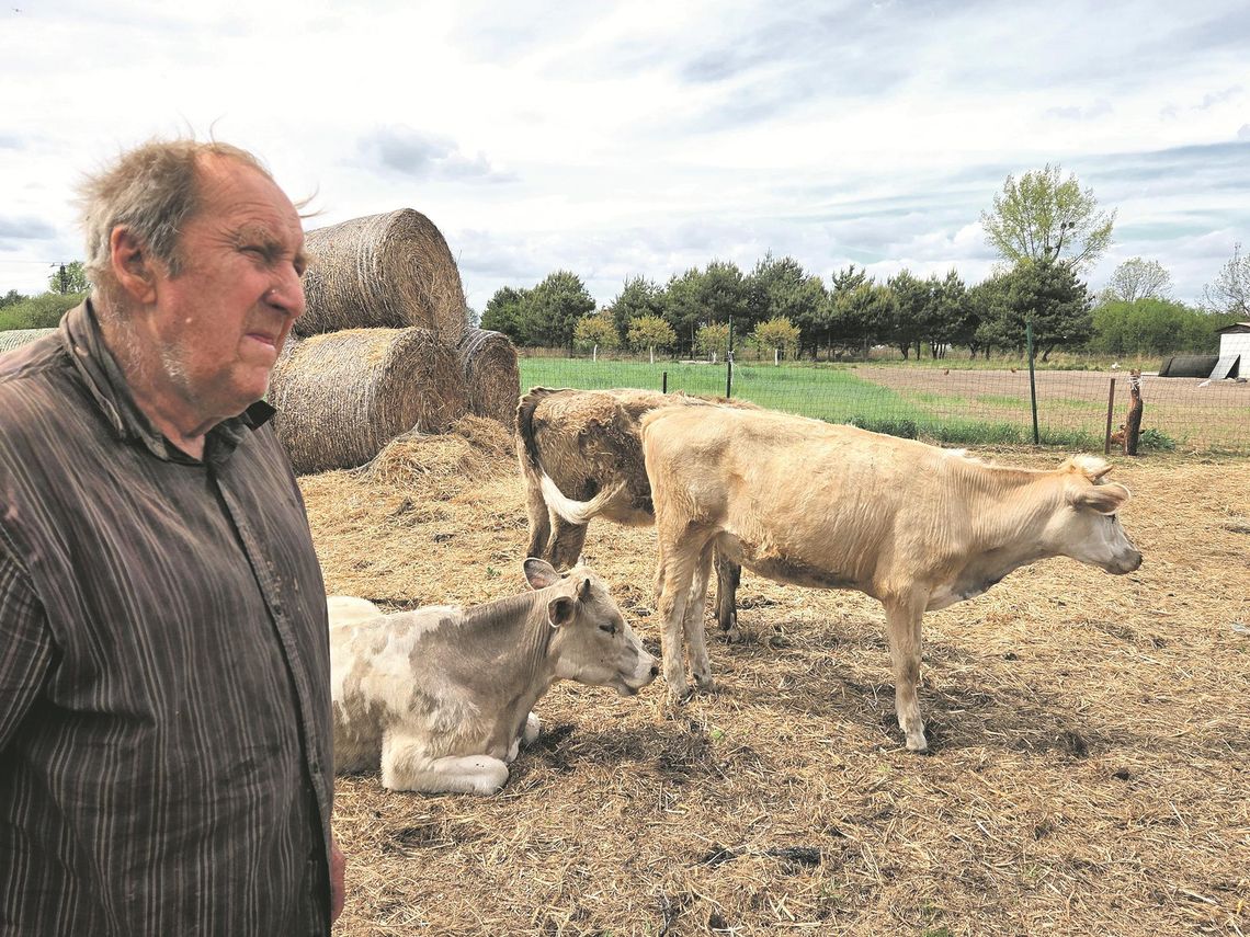 Pan Ryszard: - Idą za mną, jak za mamą... Pan Ryszard: - Idą za mną, jak za mamą...