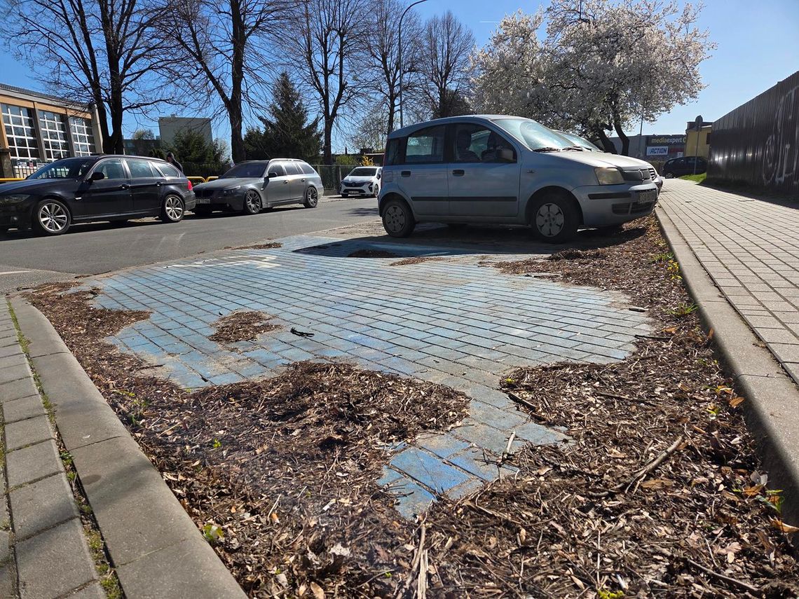 Pani Kasia: - I to ma być posprzątane?!