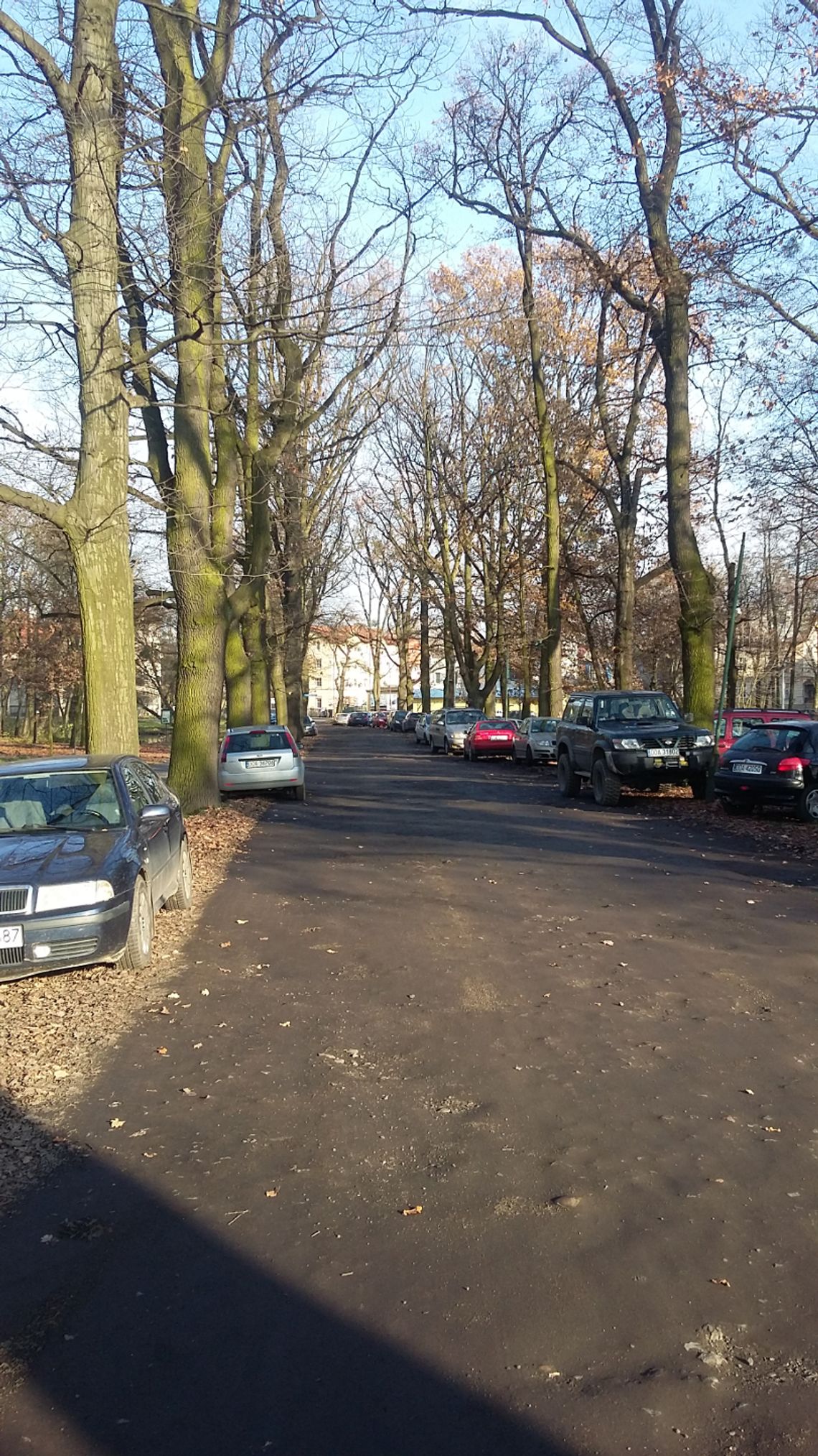 Park czy parking?