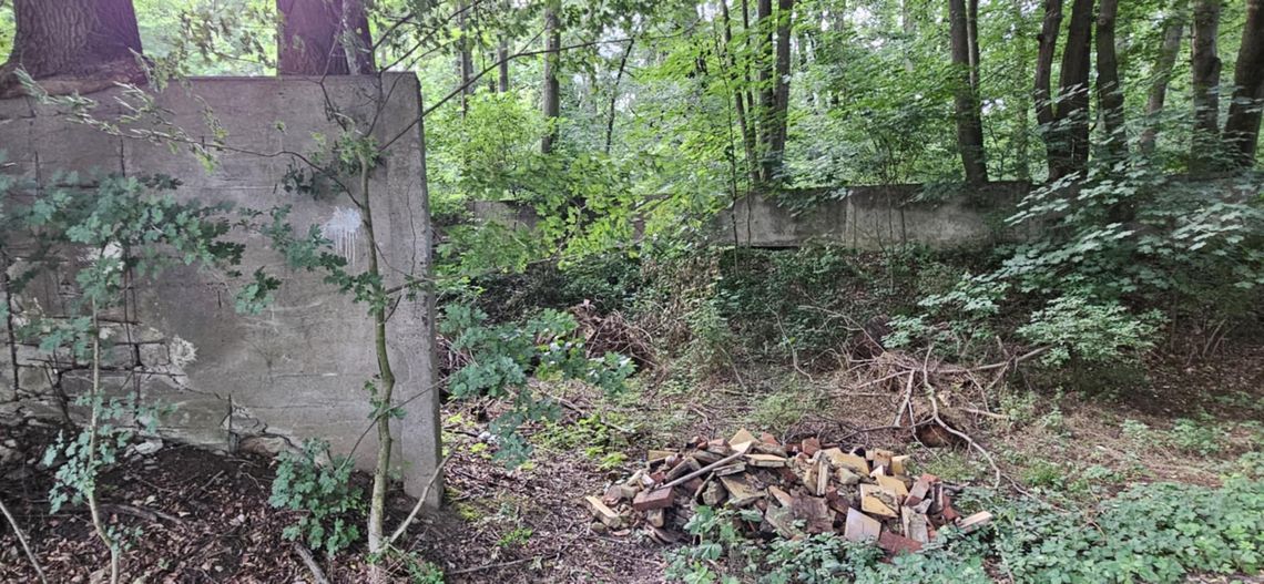 Piec kaflowy do... rezerwatu!