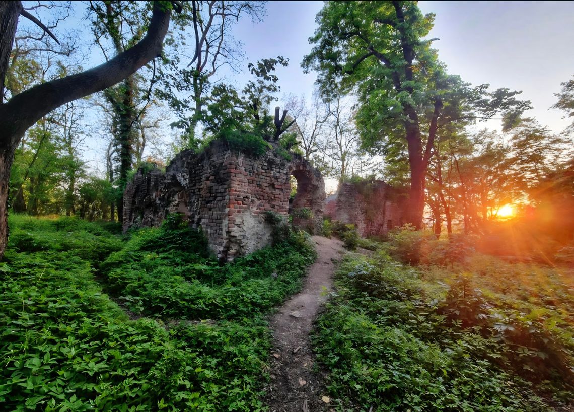 Piknik obok ruin zamku w Jelczu