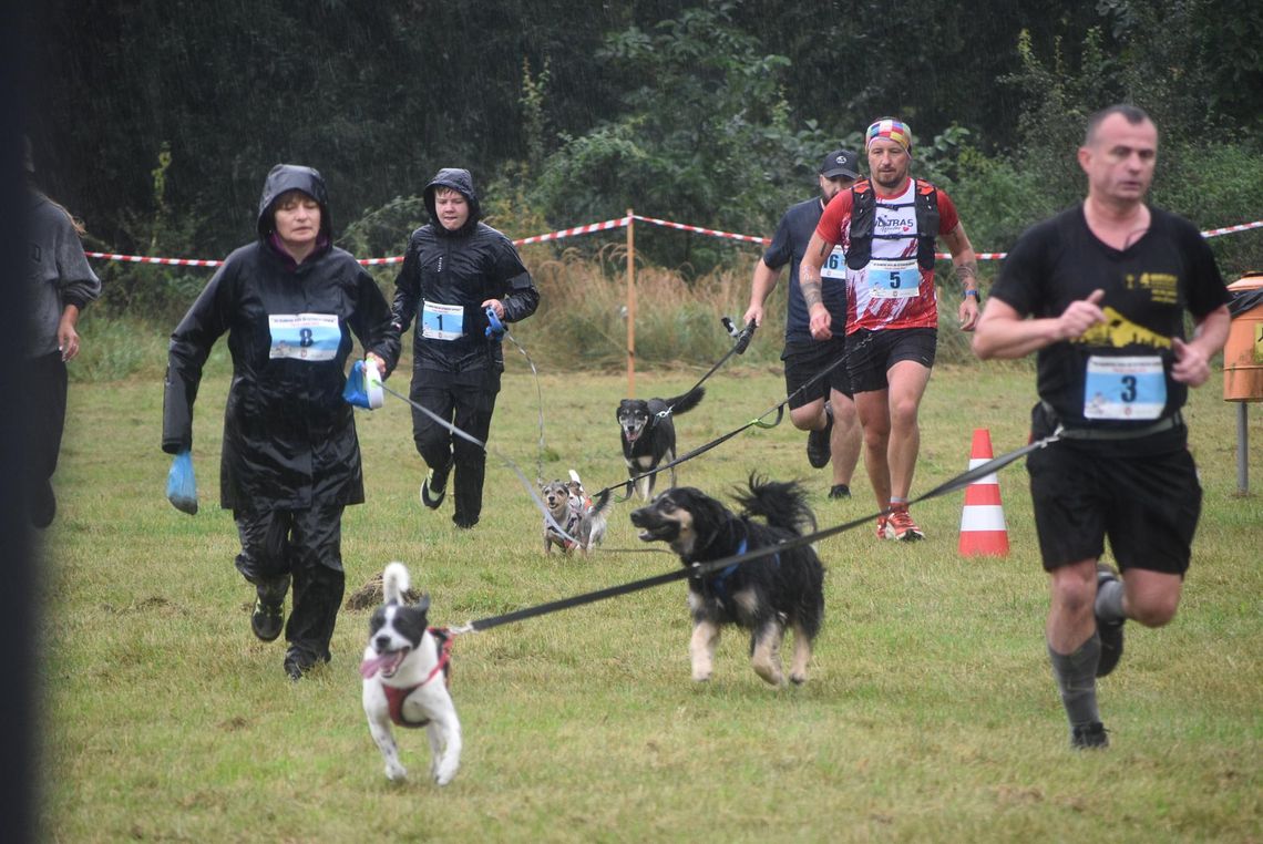 Piknik pod Psem i... pogoda pod psem