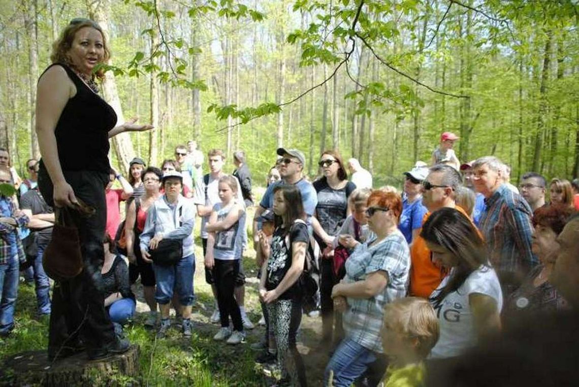 Piknik w leśnej głuszy
