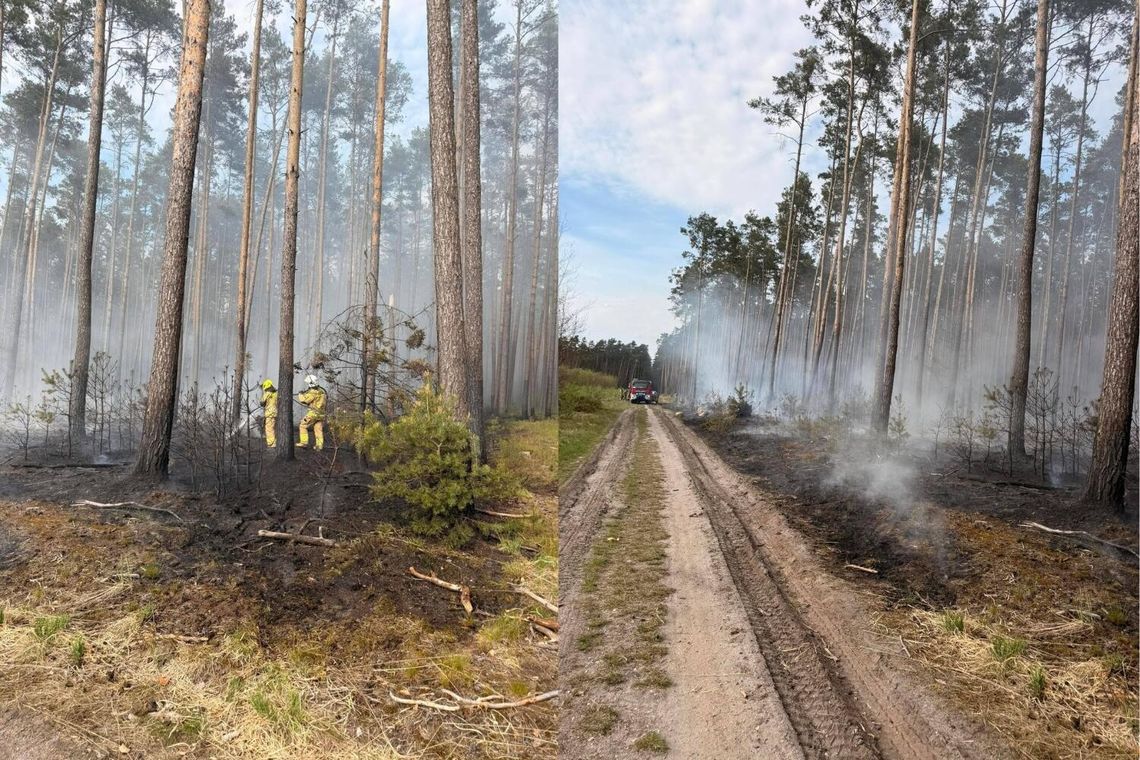 Płonął las. Kolejne pożary są możliwe. Uważajcie na siebie!