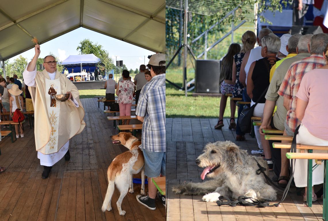 Po co zwierzęta na mszy? Mamy odpowiedzi Po co zwierzęta na mszy? Mamy odpowiedzi