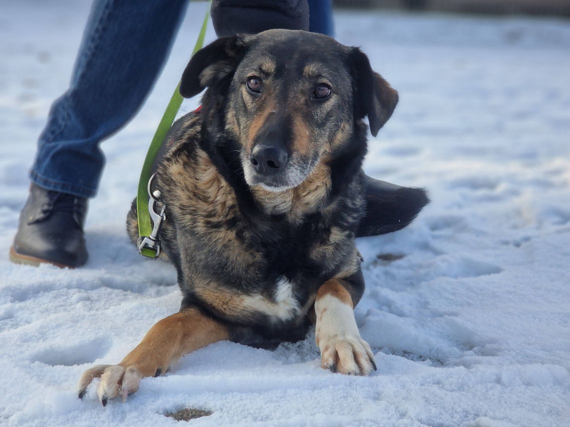 Po prostu przestała być potrzebna Po prostu przestała być potrzebna