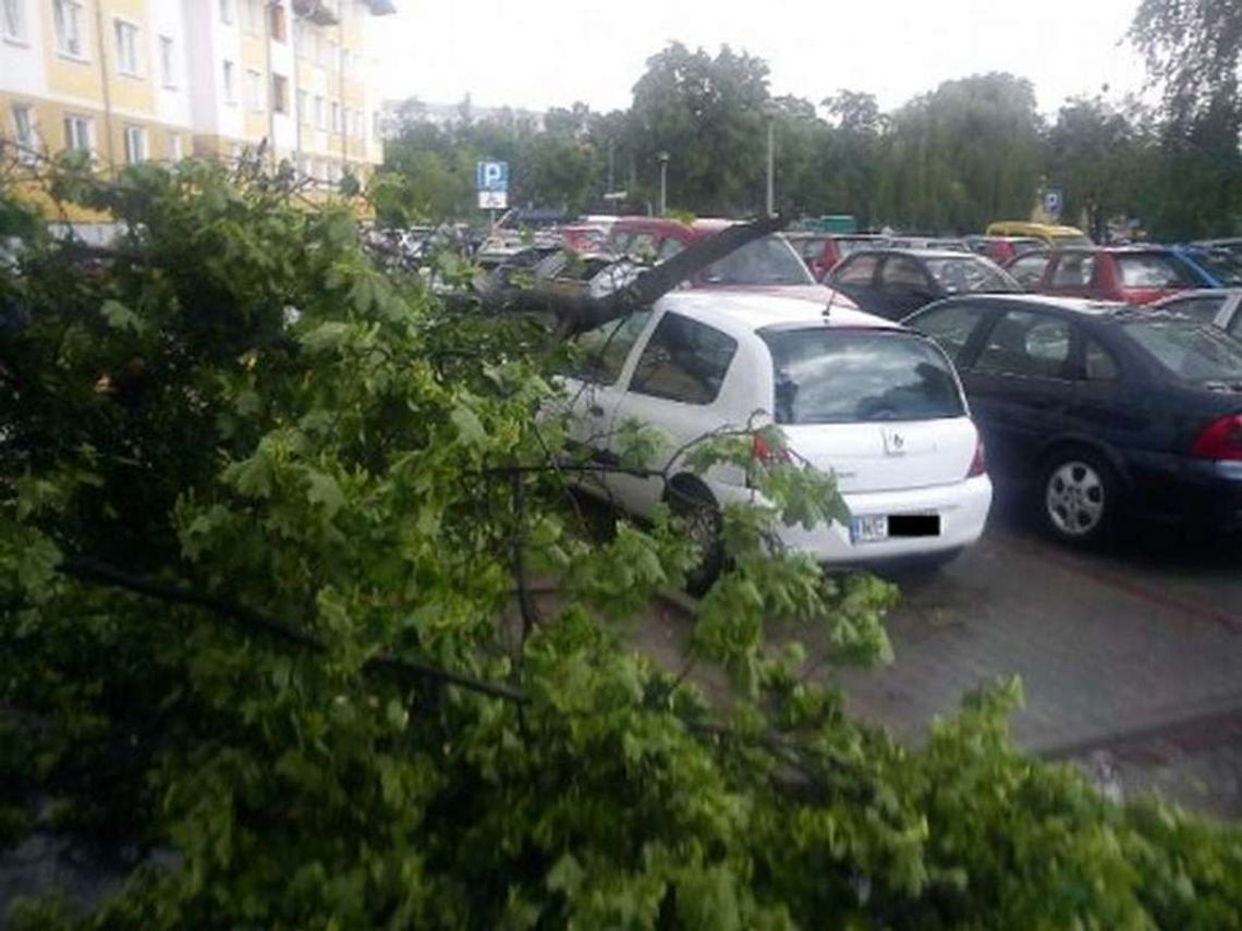 Pogodowy horror Pogodowy horror