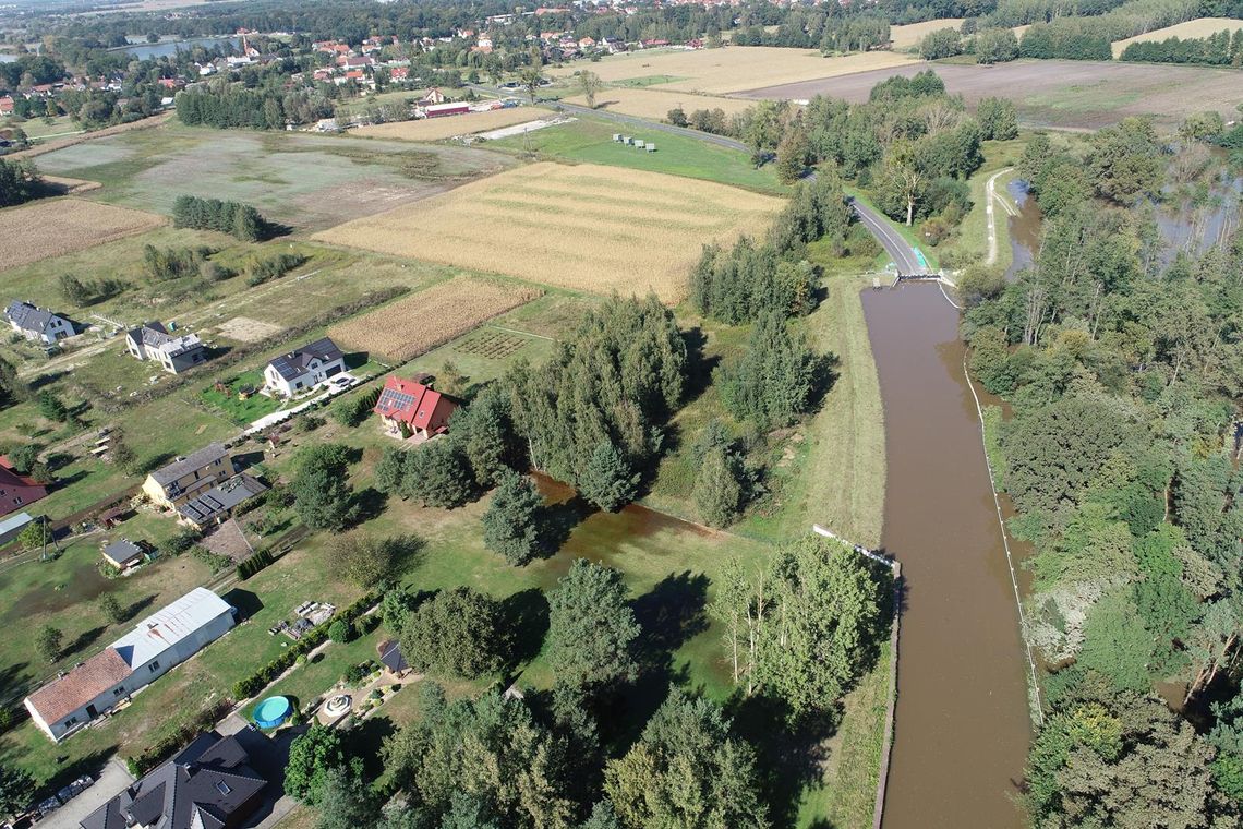 Polder Oława-Lipki od strony Jelcza (FiLM)