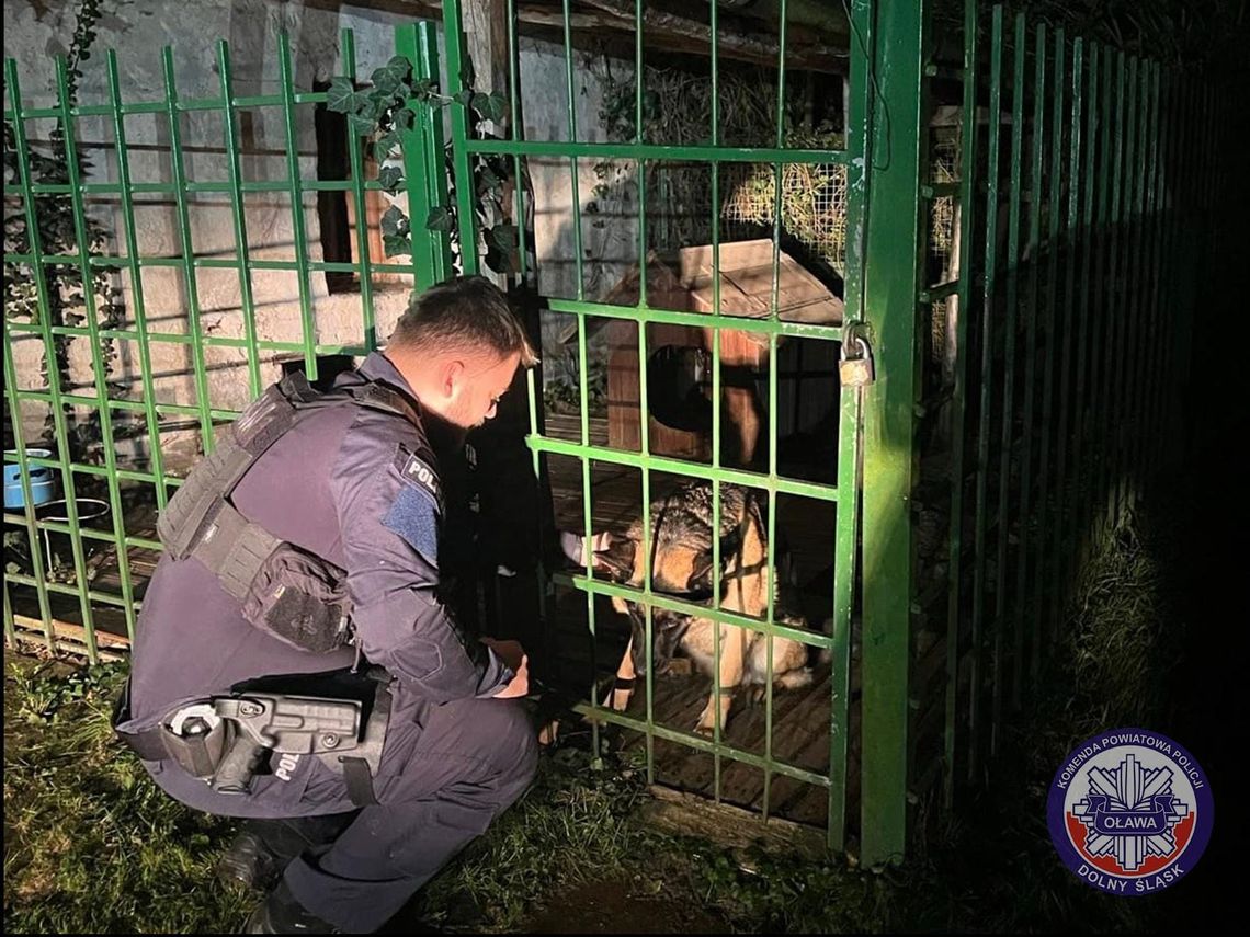 POLICJA: - Nie zostawiajcie ich na pastę żywiołu!