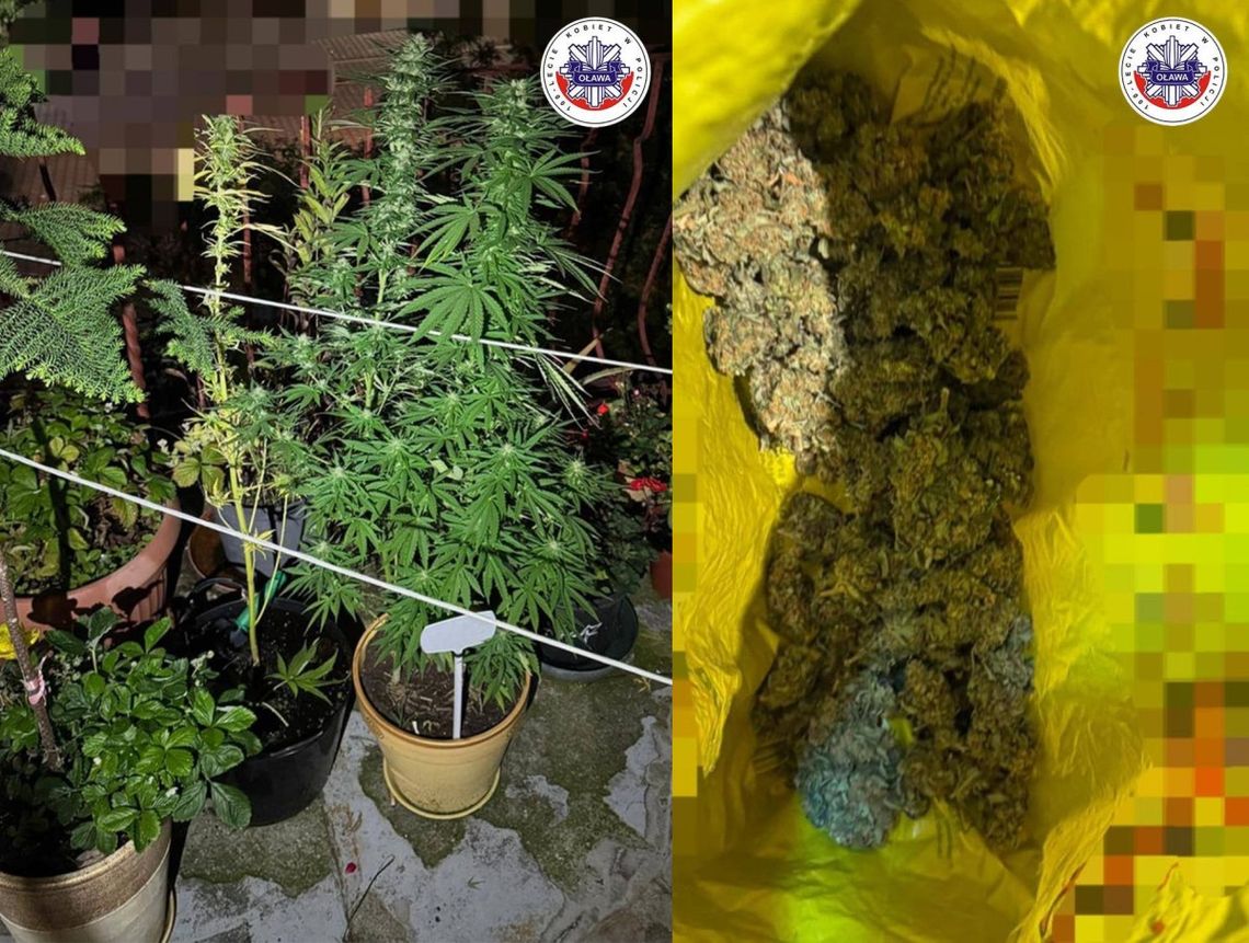 Policjanci natrafili na nietypowe "ozdoby balkonowe"