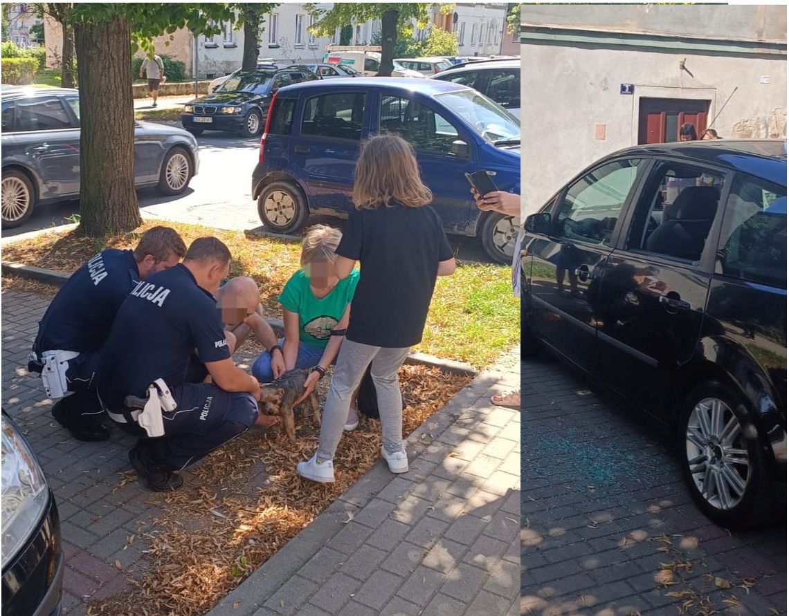 Policjanci wybili szybę, aby ratować zamkniętego w samochodzie psa Policjanci wybili szybę, aby ratować zamkniętego w samochodzie psa