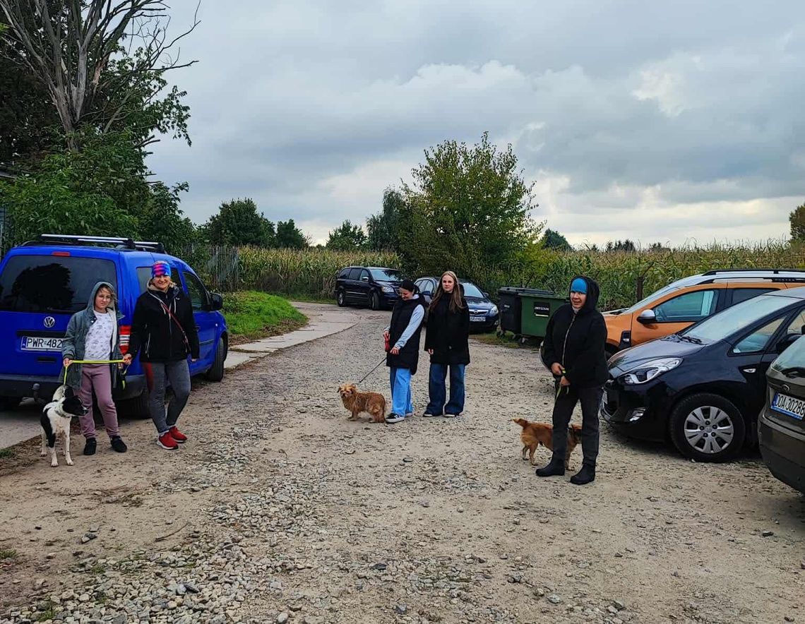 Pomogli wyprowadzić psy ze schroniska. Wolontariusze dziękują