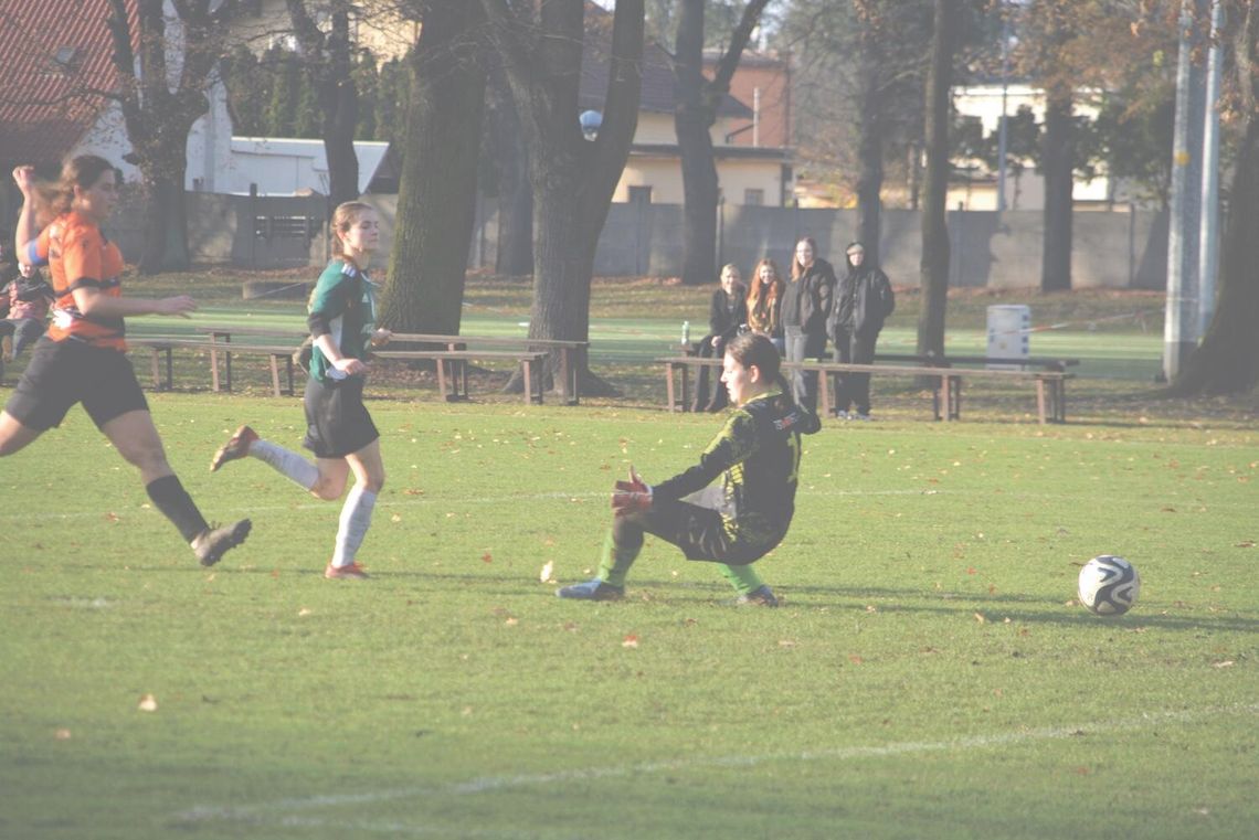 Popis nieskuteczności