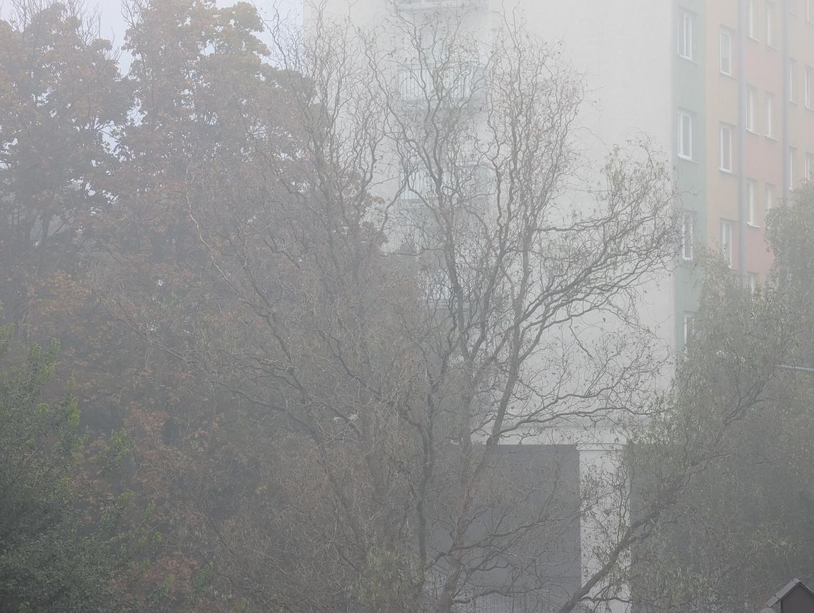 Poranna mgła utrudnia jazdę. Jedź ostrożnie