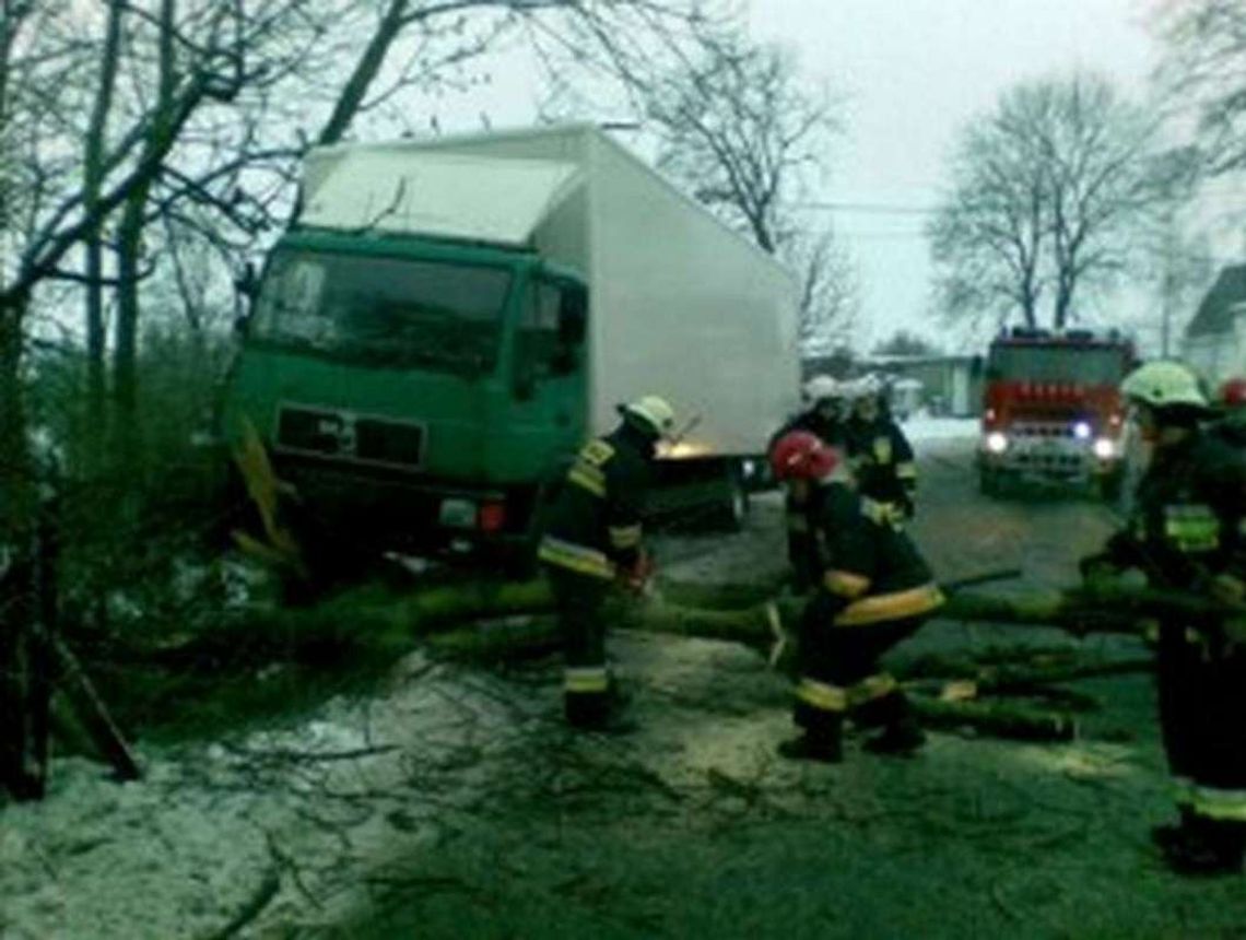 Poślizgiem w drzewo Poślizgiem w drzewo