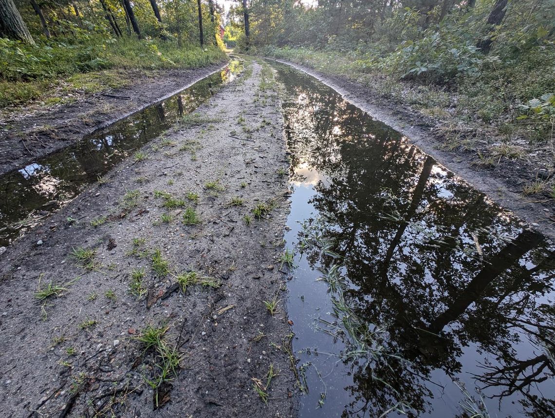 POWIAT Zakaz wstępu do lasu