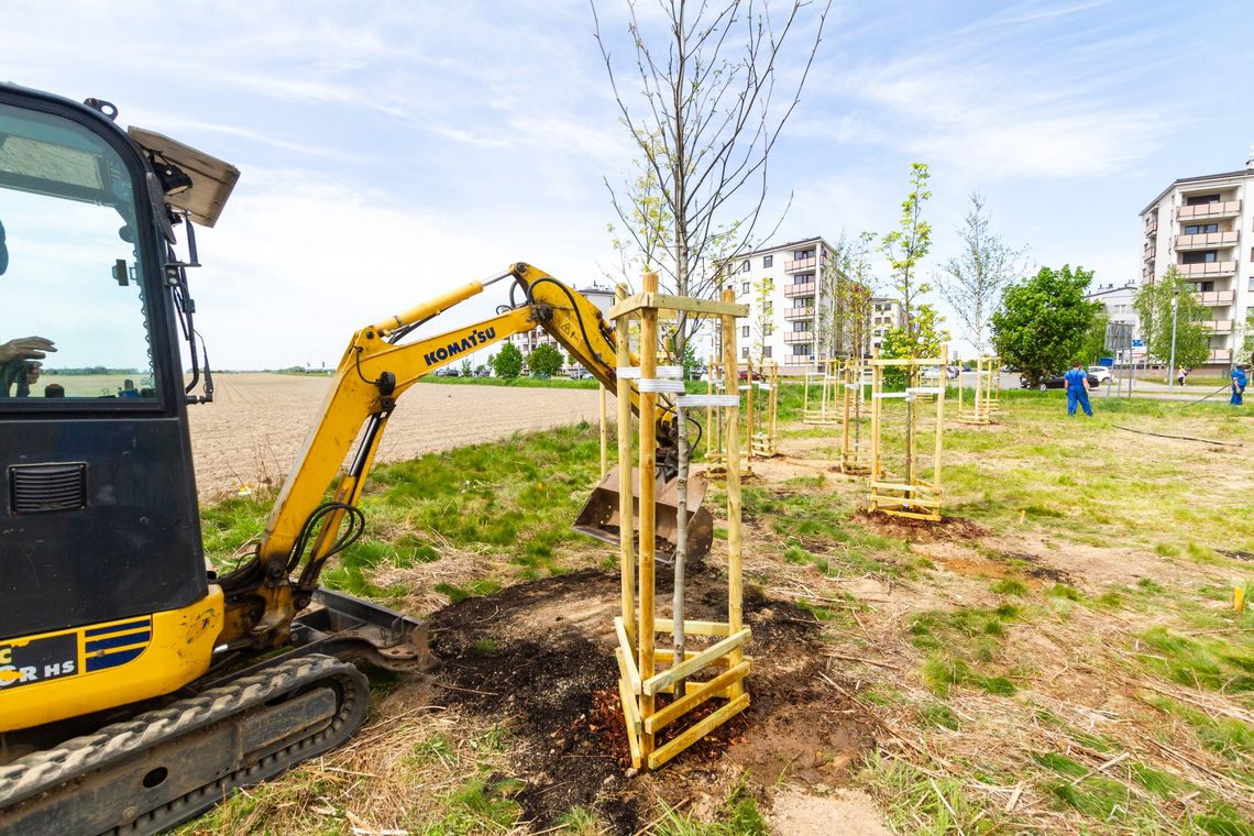 Powstaje "park" na osiedlu Sobieskiego. Co z dalszą częścią terenu? - pyta radny Powstaje "park" na osiedlu Sobieskiego. Co z dalszą częścią terenu? - pyta radny