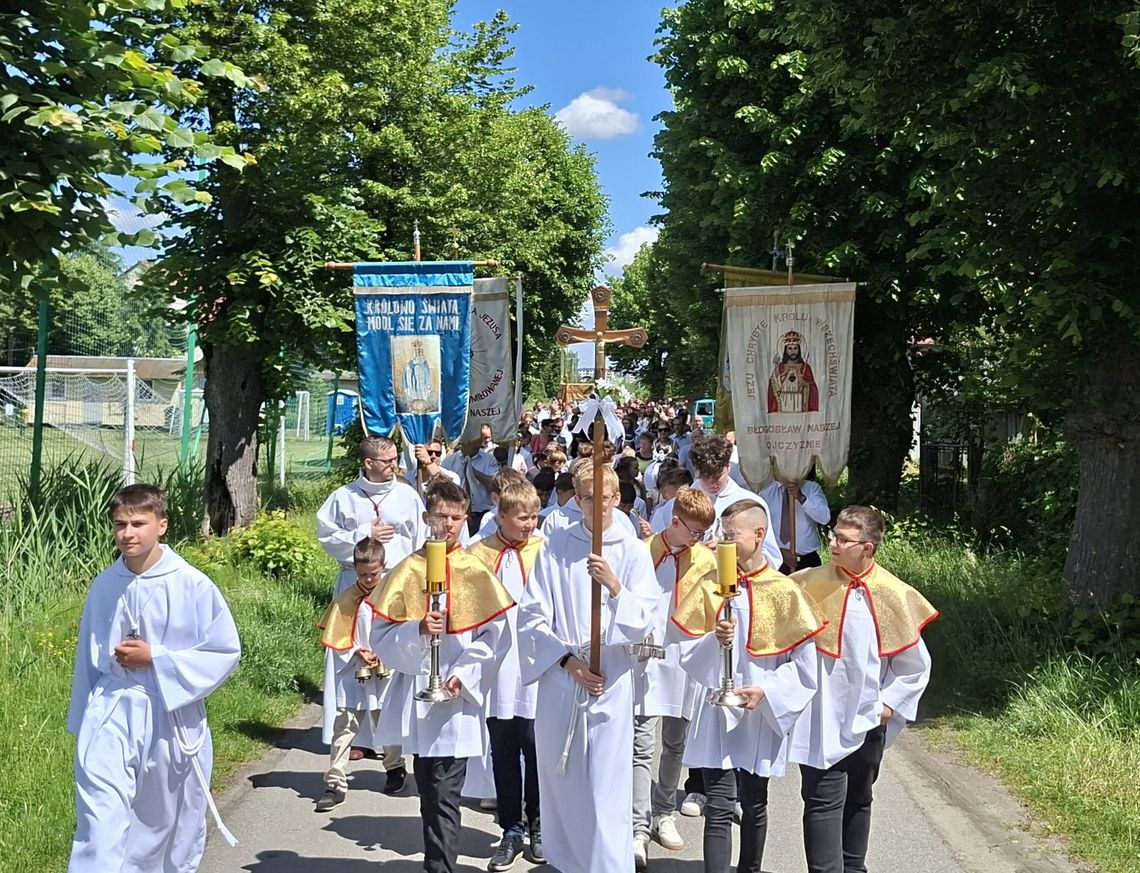 Procesja z Oławy do Gaju Oławskiego (GALERIA)