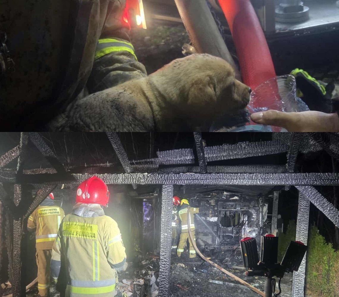 Przed świętami spalił im się dom. Pomóż