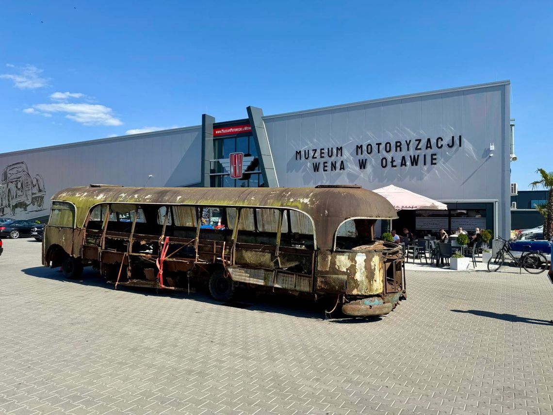 Przetrwał sześć dekad w lesie. Dostanie drugie życie