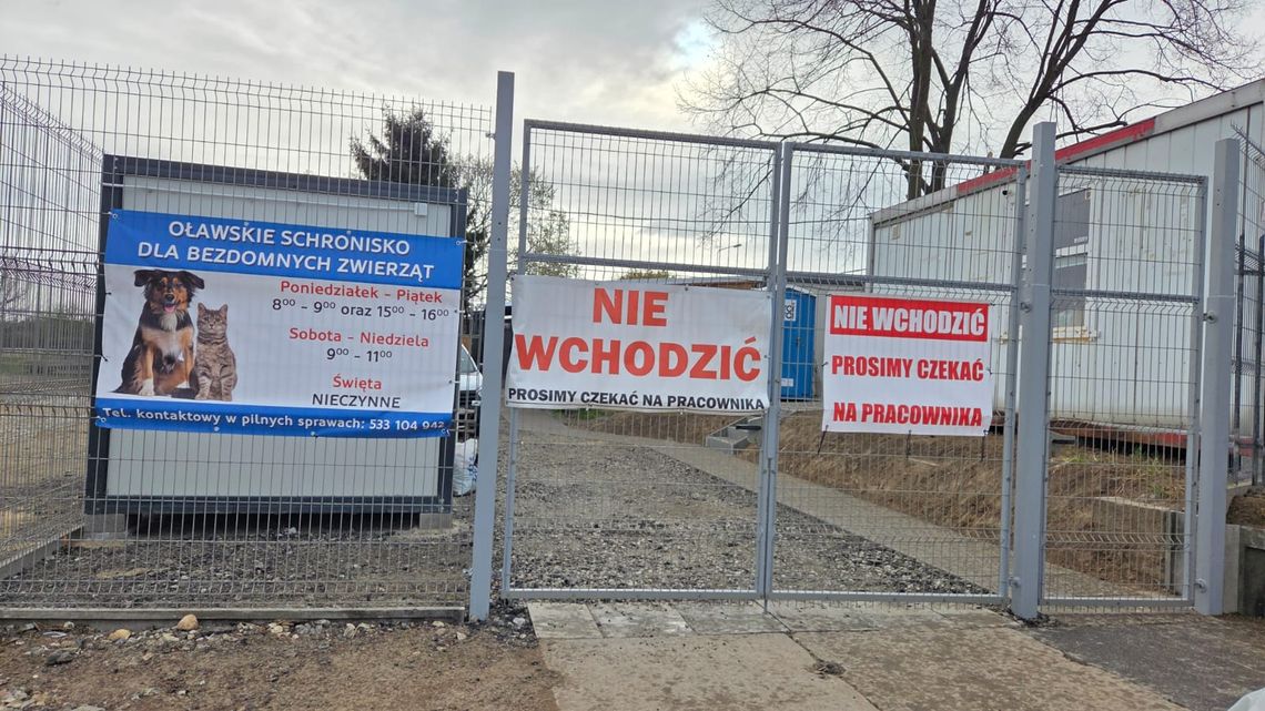 Radni nie przyjęli programu opieki nad zwierzętami