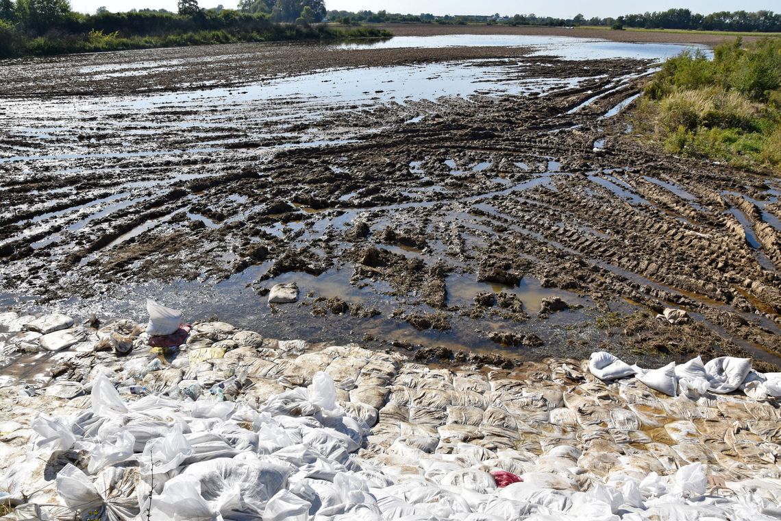 Radny Piotr Krótki: - Co z wyrwą w wale? Radny Piotr Krótki: - Co z wyrwą w wale?