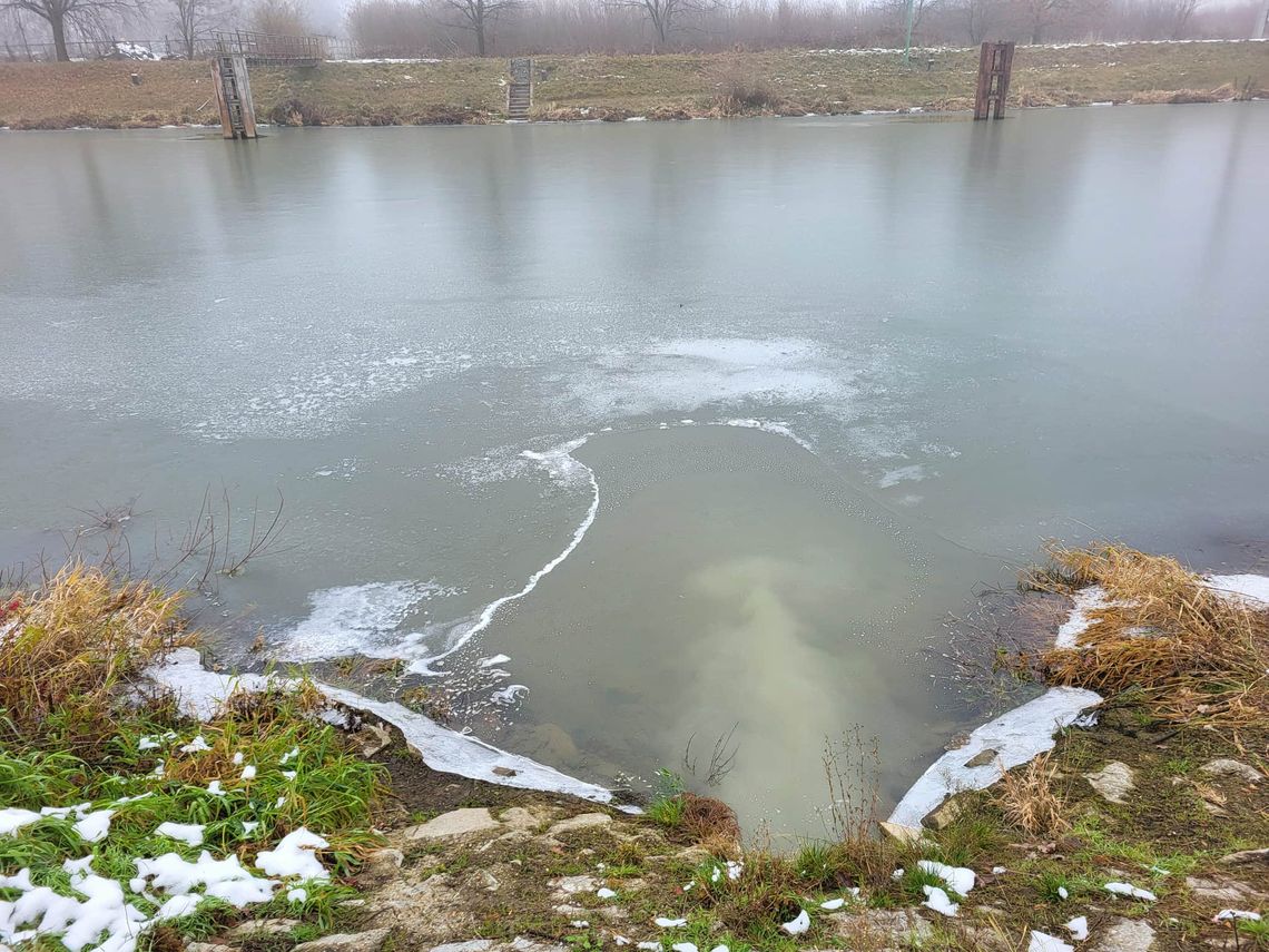 Radny powiatowy zwrócił się do burmistrza Oławy o zawieszenie tego postepowania Radny powiatowy zwrócił się do burmistrza Oławy o zawieszenie tego postepowania