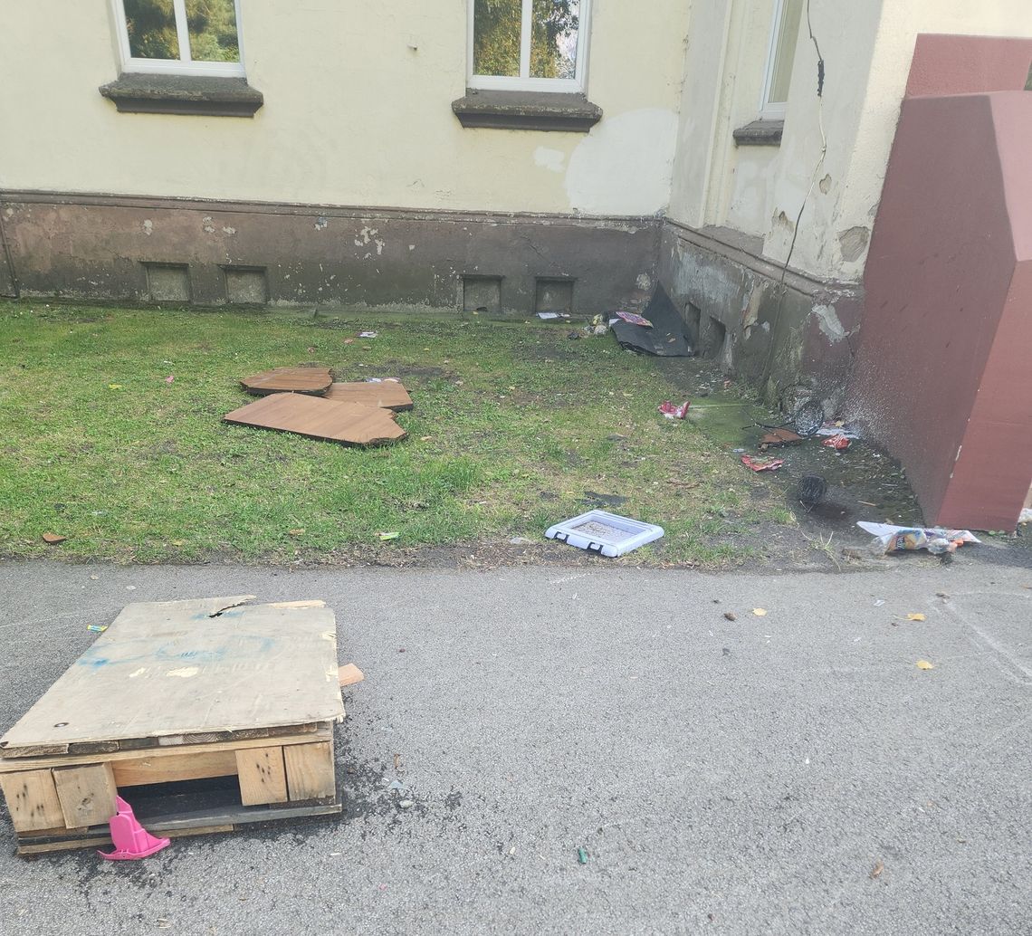 Ręce i nogi opadają. Sołtyska prosi o intrwencję