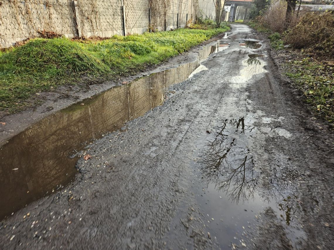 Remont ul. Cichej wciąż pod znakiem zapytania