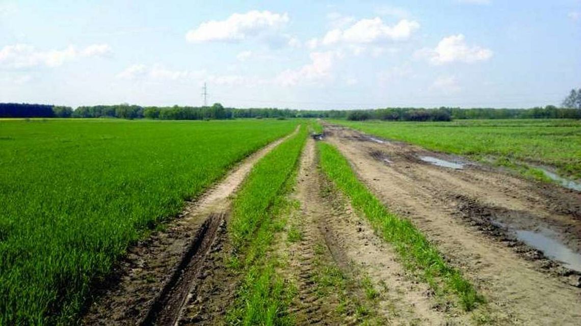 Rozjeżdżają pole, mogą być ukarani Rozjeżdżają pole, mogą być ukarani