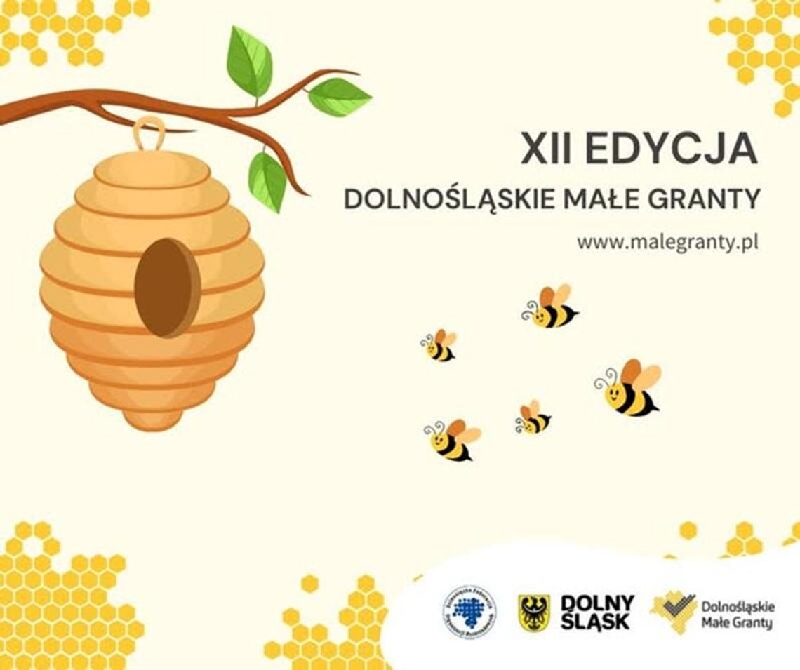 Ruszyła 12. edycja Dolnośląskich Małych Grantów!