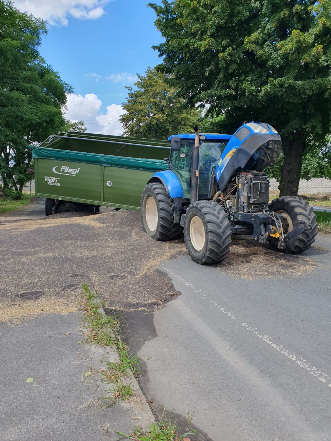 Rzepak skutecznie zablokował ruch do Ścinawy Polskiej