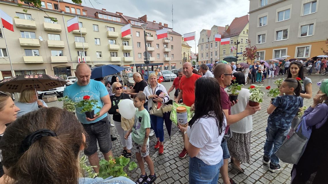 Tysiąc sadzonek rozeszło się w kilkanaście minut