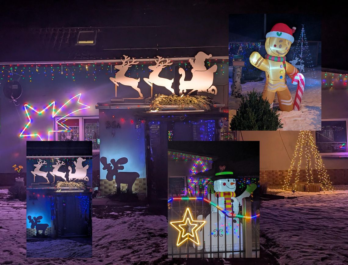 Sąsiad: - Nikt w Wójcicach ani okolicy nie ma piękniej! (GALERIA-FILMIK)