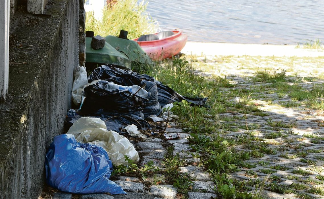 Śnięte ryby wciąż leżą w workach na brzegu rzeki