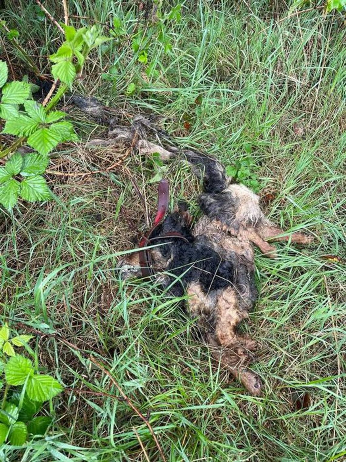 Sprawą zajmuje się policja!