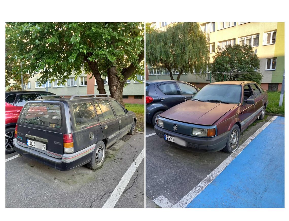 Strażnicy już działają w sprawie tych wraków