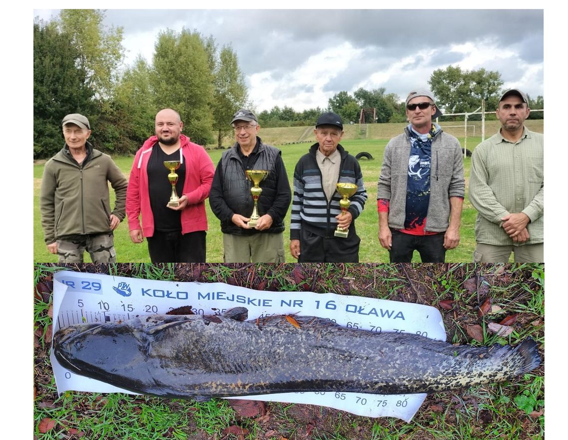 Sum miał ponad metr długości!