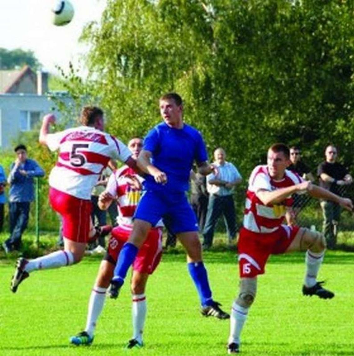 Świteź walczy o powrót Świteź walczy o powrót