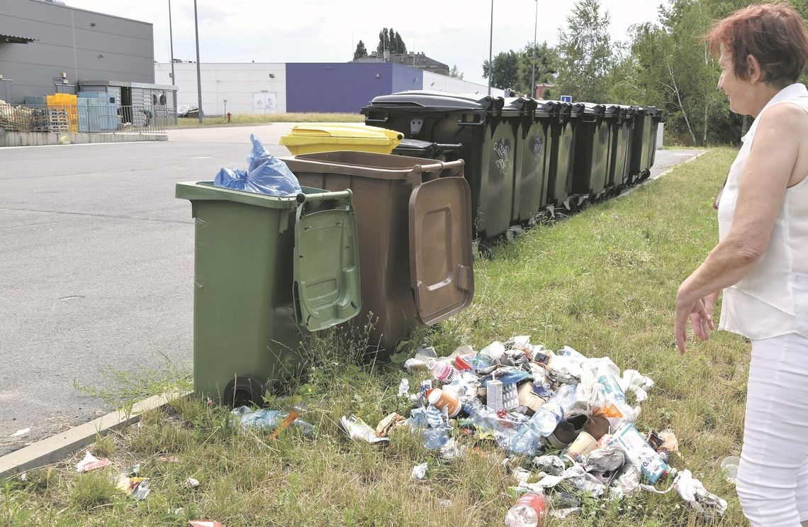 Szczury mają tu stołówkę i utrudniają ludziom życie
