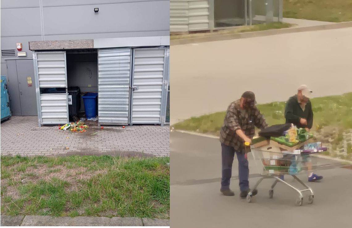 Szczury wracają, bo "stołówka", jak widać na zdjęciu, działa Szczury wracają, bo "stołówka", jak widać na zdjęciu, działa