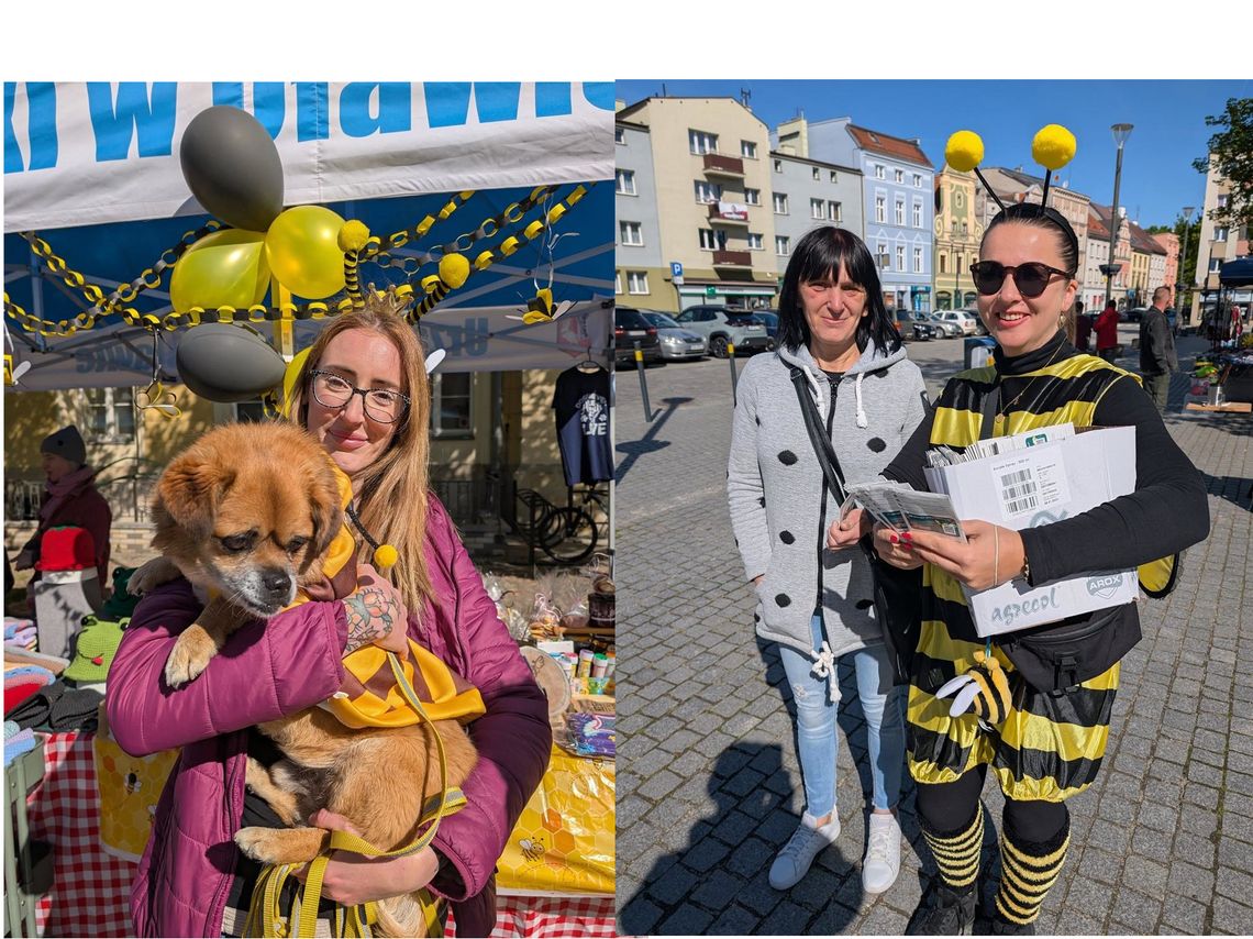 Ta niedziela pod znakiem wiosny (GALERIA)