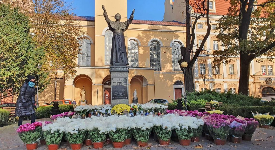 Tak pomagają sprzedawcom chryzantem Tak pomagają sprzedawcom chryzantem